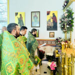 Настоятель церкви Живоносный Источник в Хот-Спрингсе, Арканзас, протоиерей Василий принял участие в праздновании храмового праздника собора святой Матроны в Майами